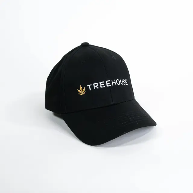 Treehouse Dad Hat